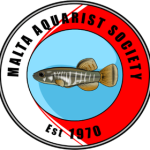 malta aquarist society - logo
